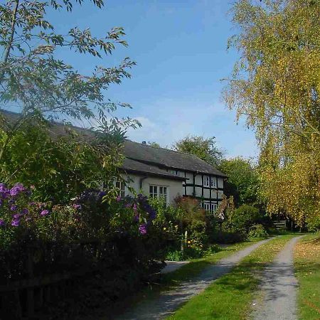 ليومنستر Yew Tree Cottage المظهر الخارجي الصورة