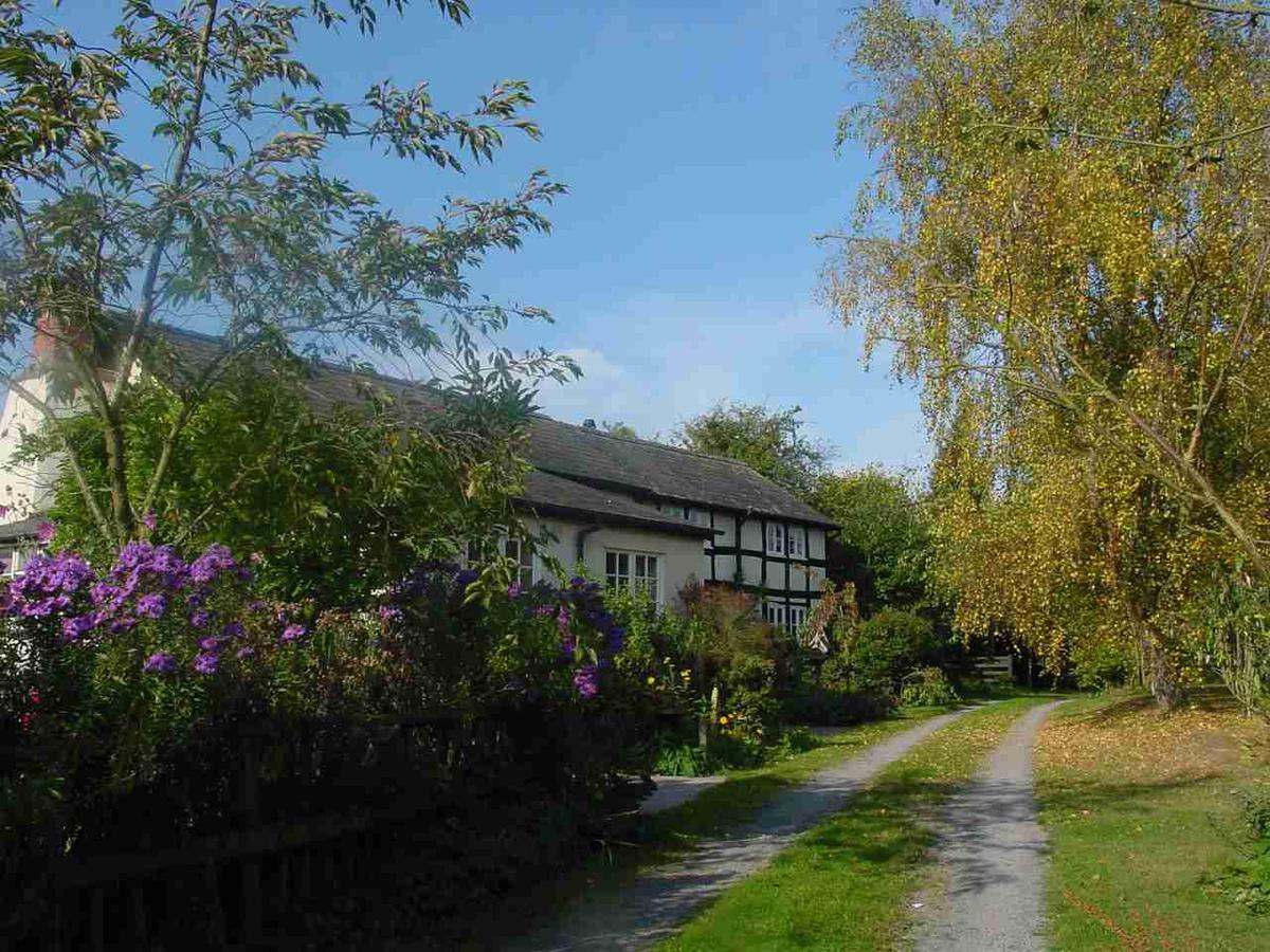 ليومنستر Yew Tree Cottage المظهر الخارجي الصورة