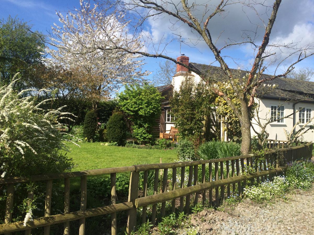 ليومنستر Yew Tree Cottage المظهر الخارجي الصورة