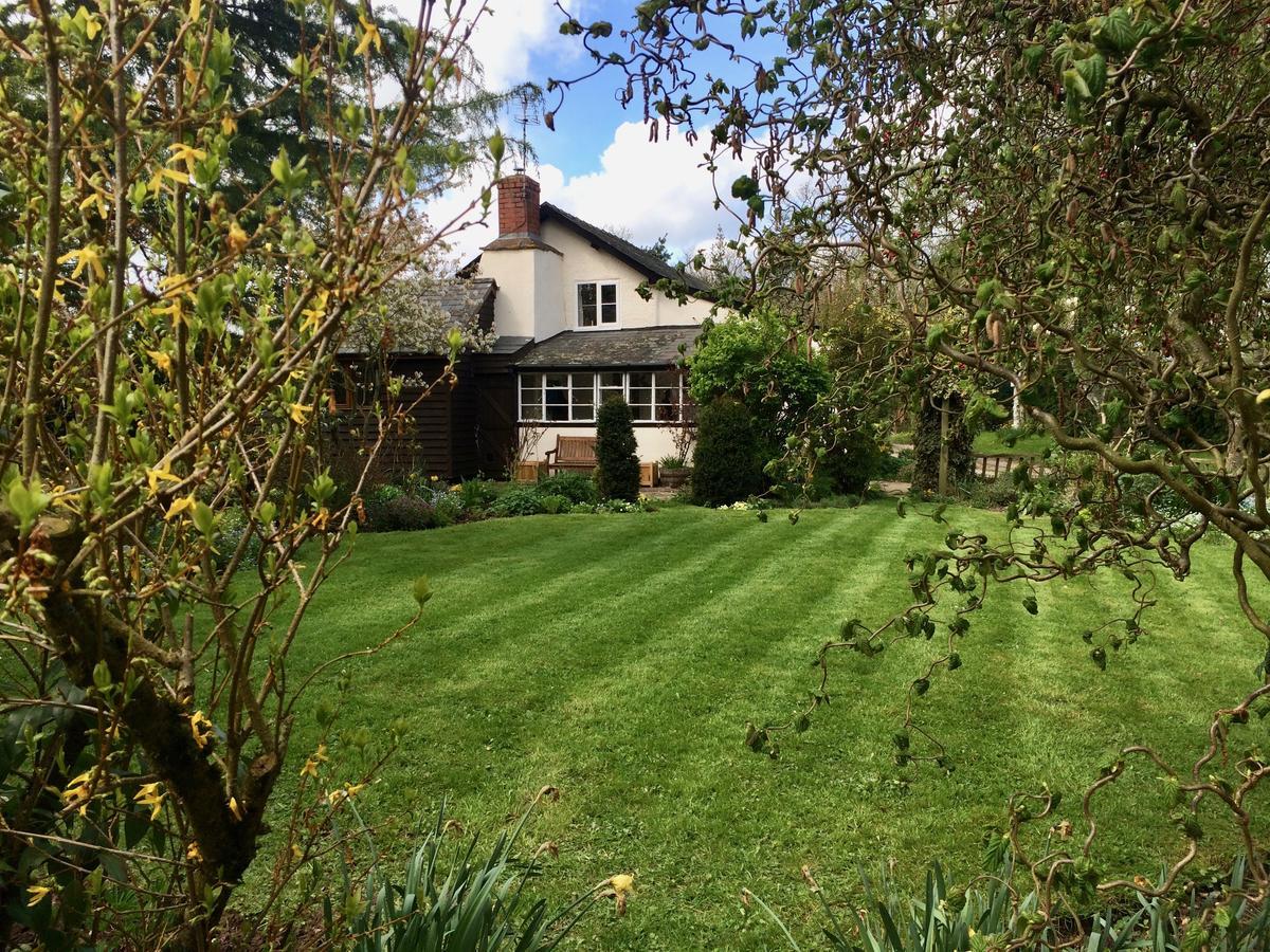 ليومنستر Yew Tree Cottage المظهر الخارجي الصورة