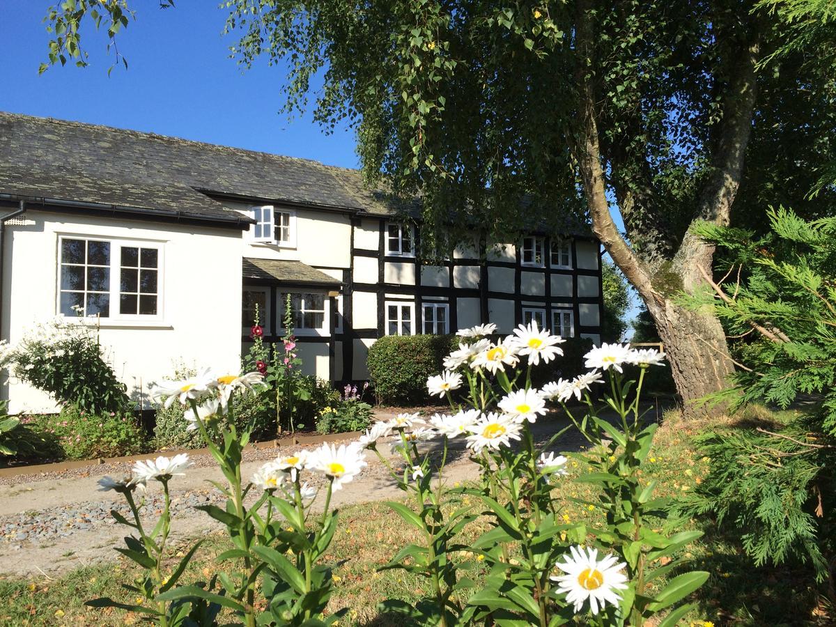 ليومنستر Yew Tree Cottage المظهر الخارجي الصورة